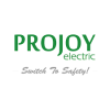 Projoy electric